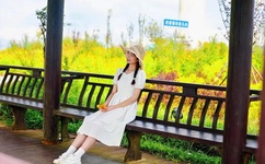 英语课代表的胸好软的作文